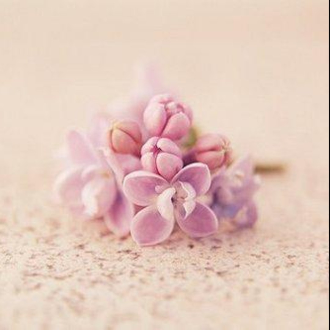 tb我是小可爱呦