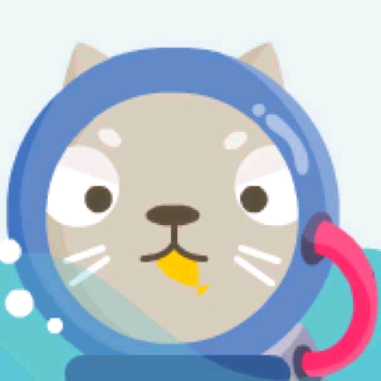 星黛露忠实粉丝