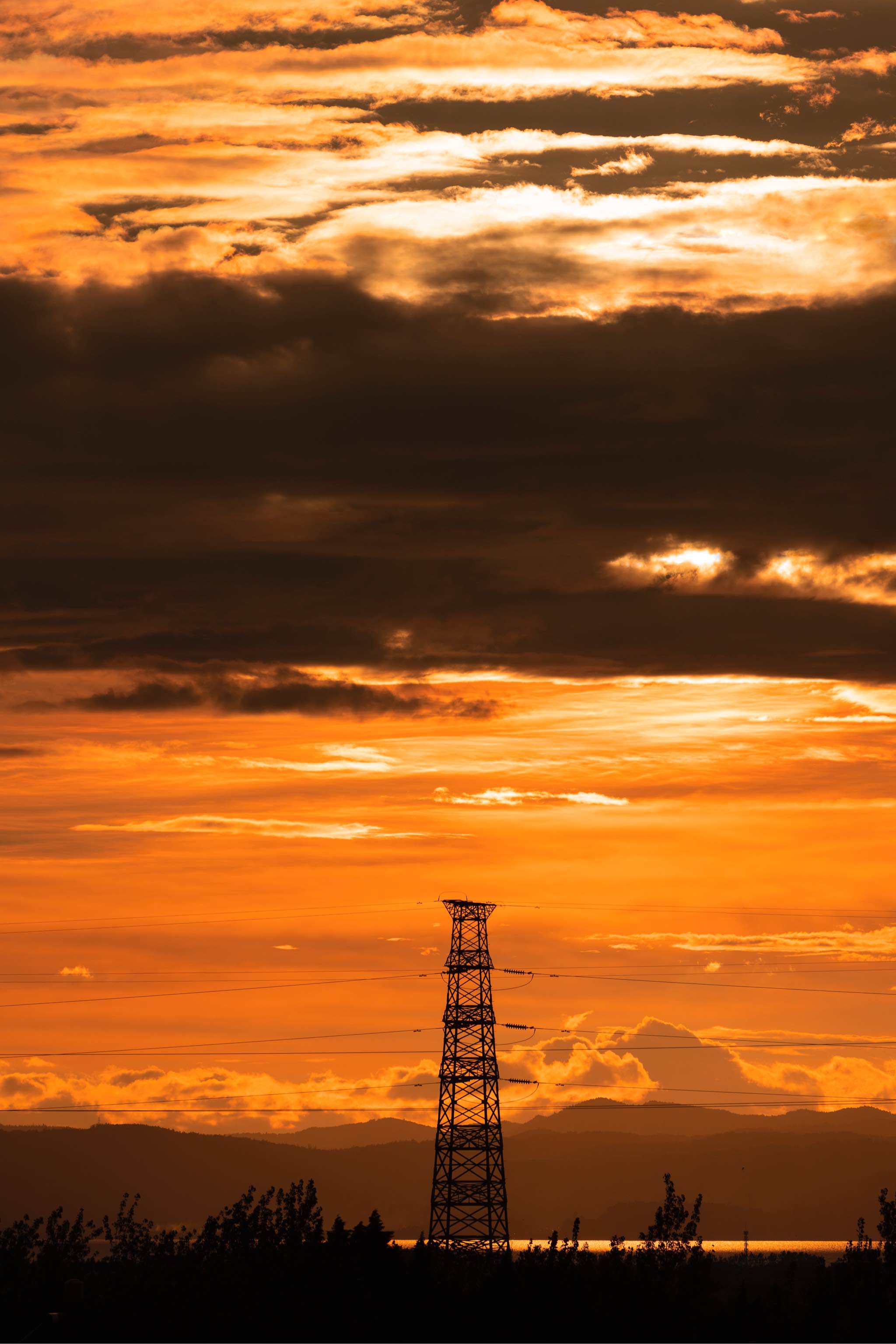 某宝真是个好东西a