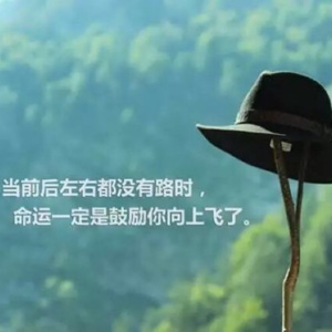 可乐味的雨果zs