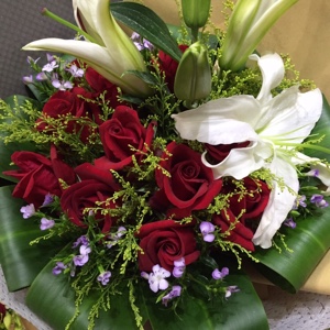 绿色好心情558520