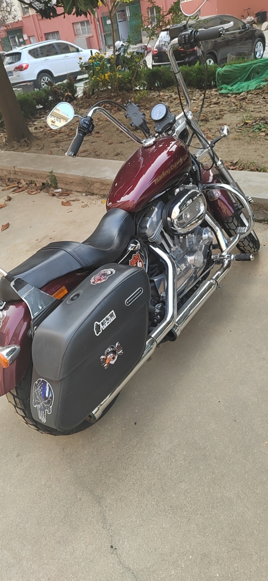 爱吃三丝会首的杰瑞