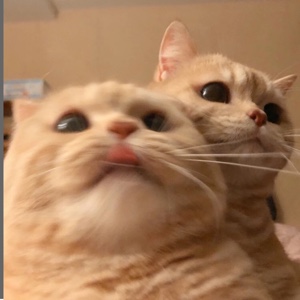 小熊和轩轩睡了-