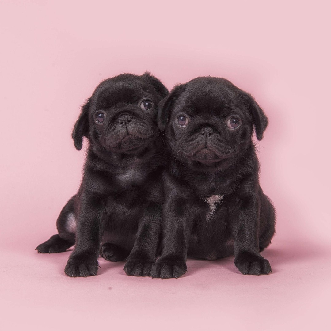 一刹那人间烟火