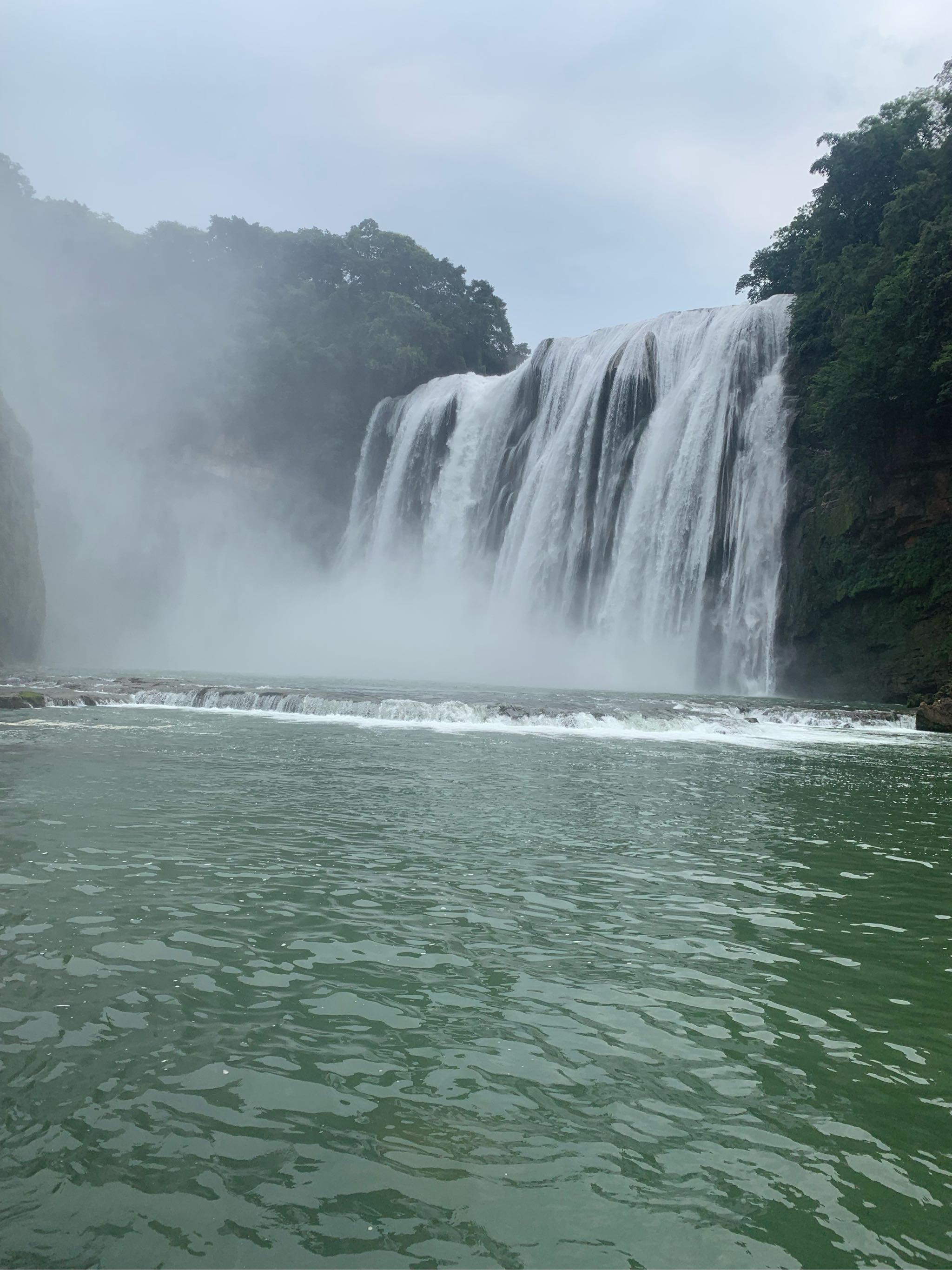 提督街稀有的莴笋