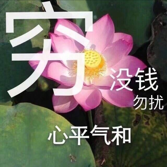 不买立省百分百