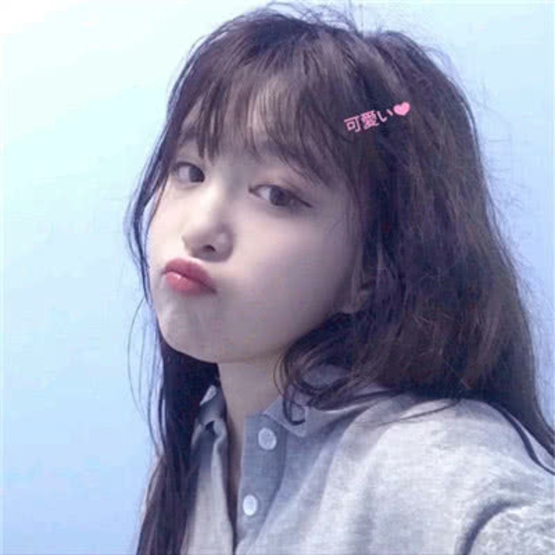 你的今日份小可爱