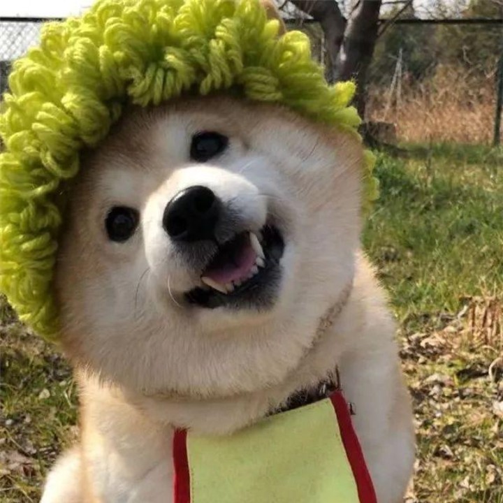 留给你最好的微笑