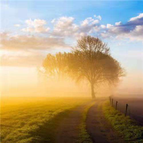 好东西剁手剁脚也得买