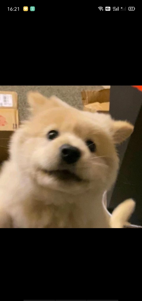 琪琪就爱吐泡泡