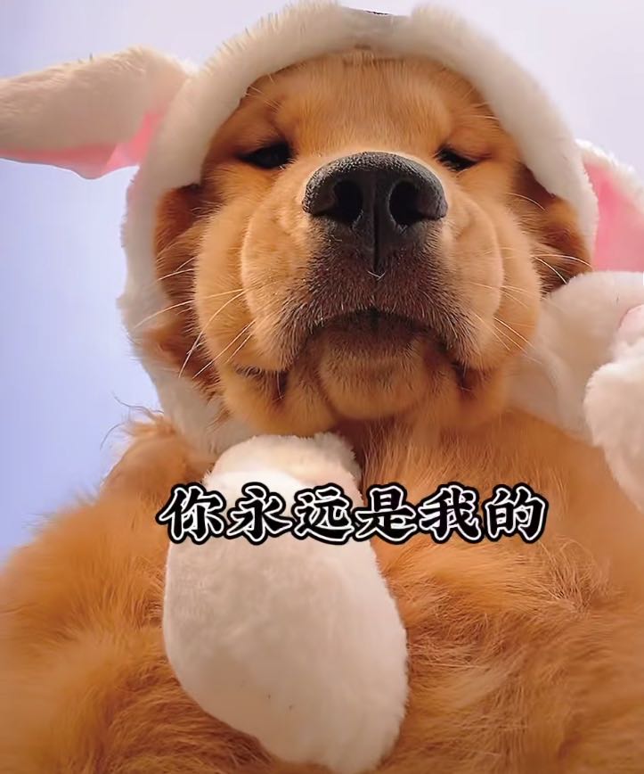 买买提啊啊啊啊