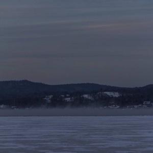 但见悲鸟号古木188