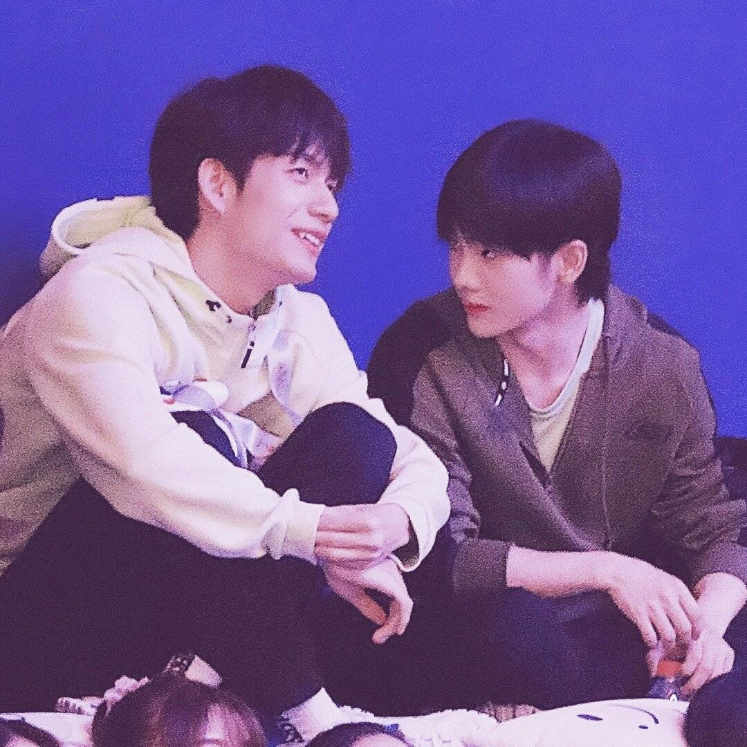 南以颜喻家的小猴子