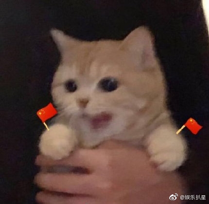 魔灵星初级烧饼