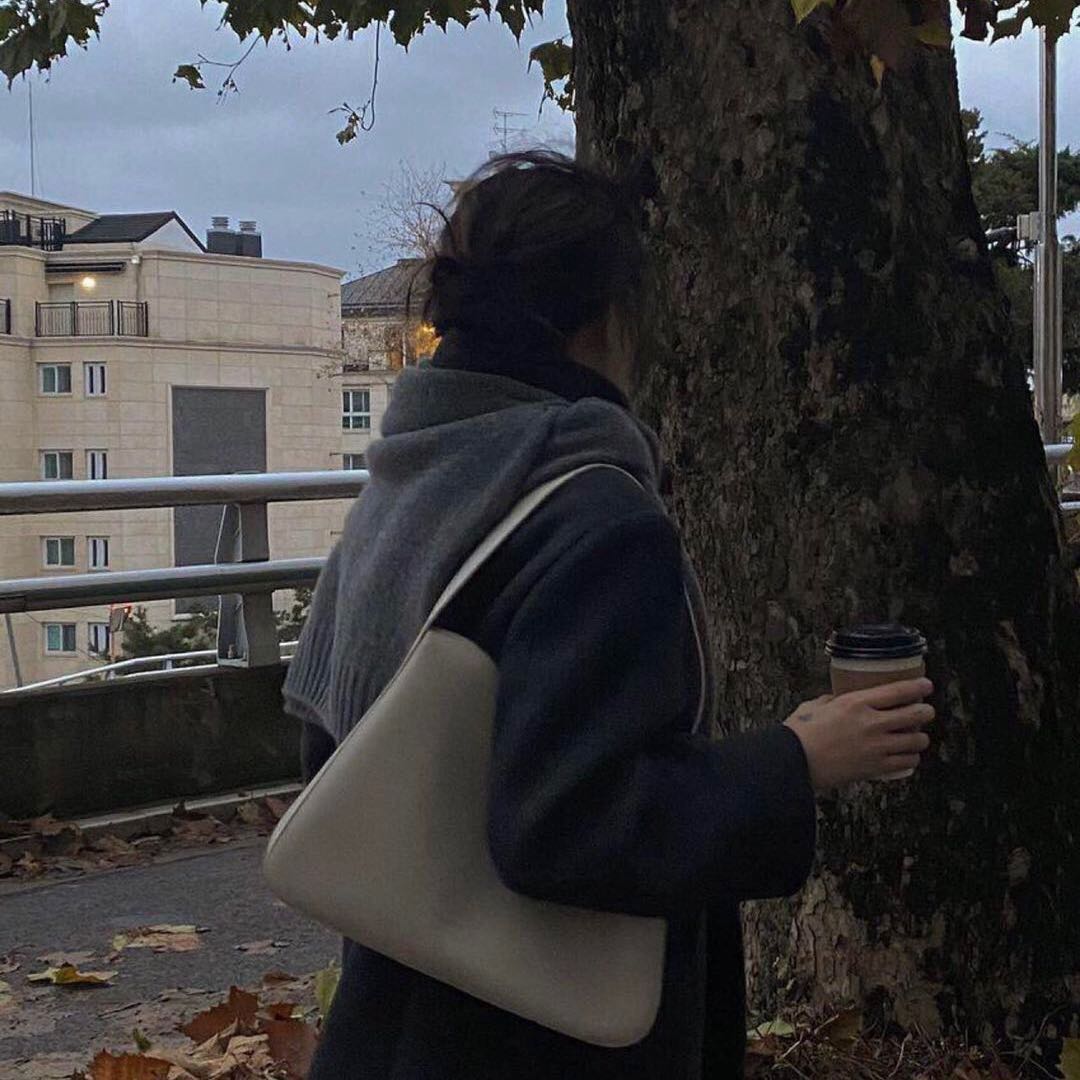 华中知足的贝壳