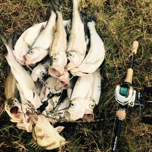 你不努力，谁也帮不了！