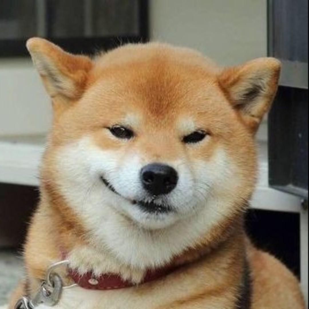 高赛文第一七吹