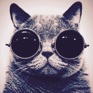 长岛冰茶伴我眠