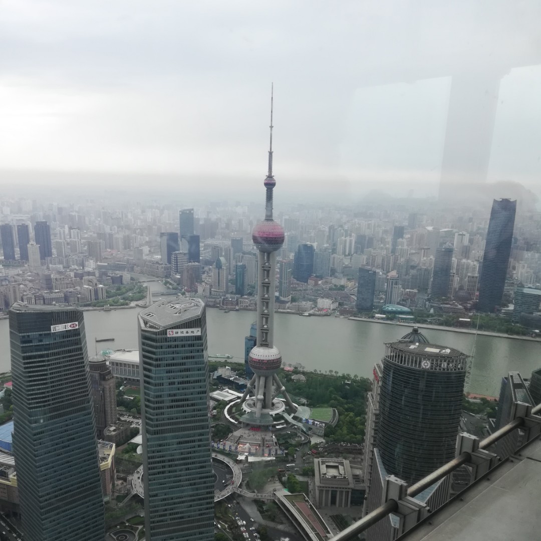 一杯茉莉一杯水更完美