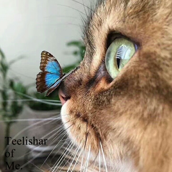 我还是孩子啊啊啊你好