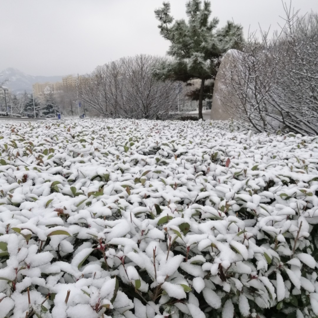 让假设成为可能