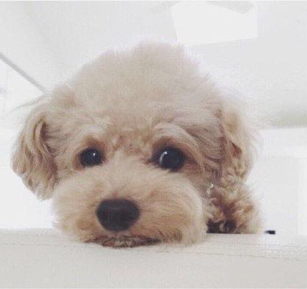 你知道的不太多