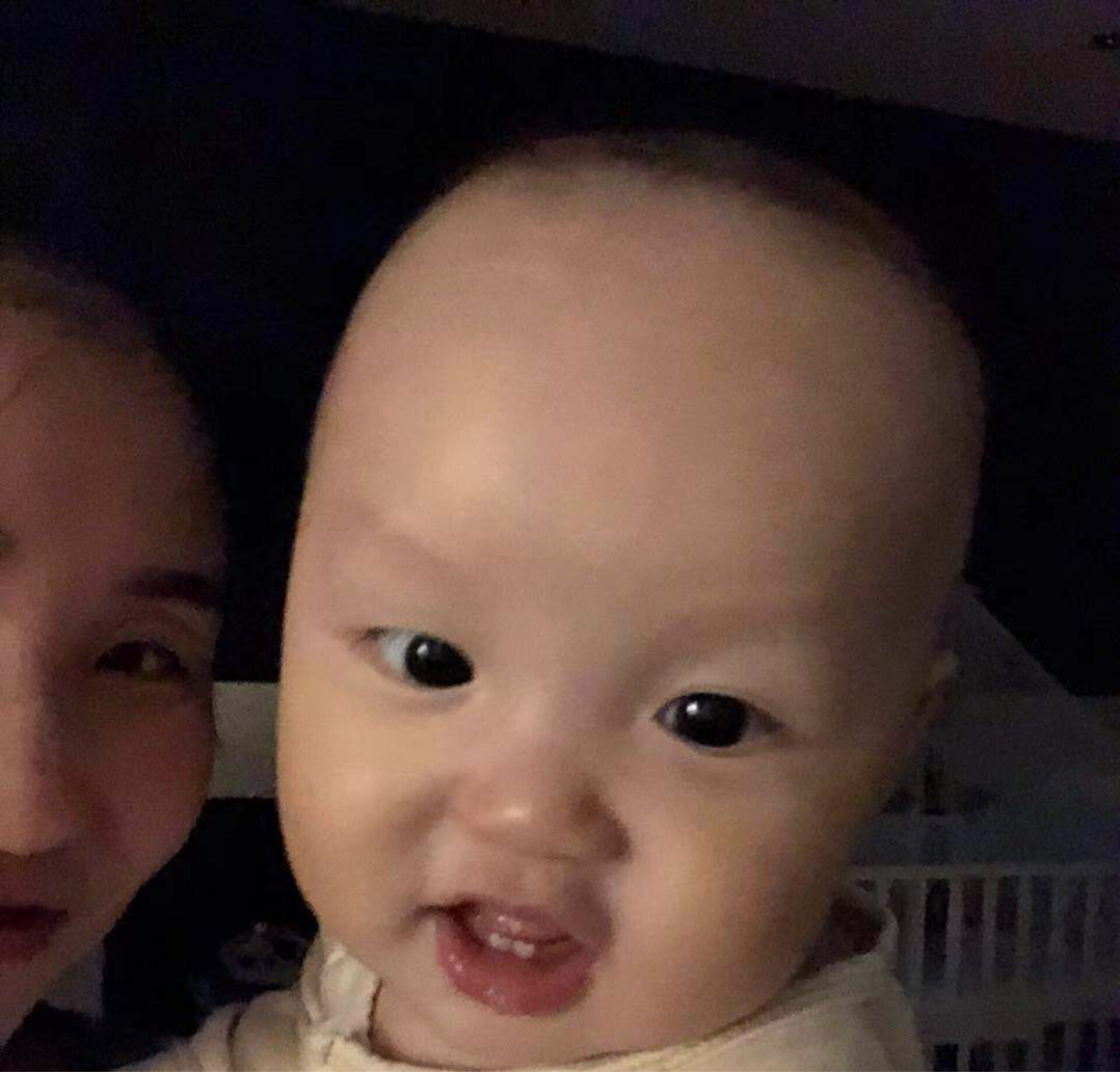 江东鼠辈拿命来