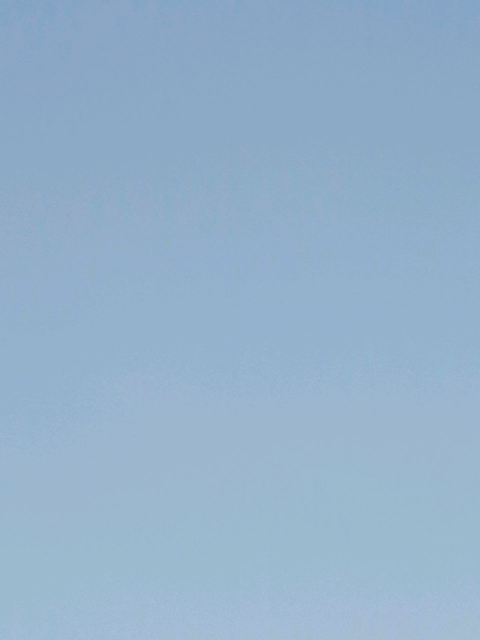 南朝北国半夏葱花