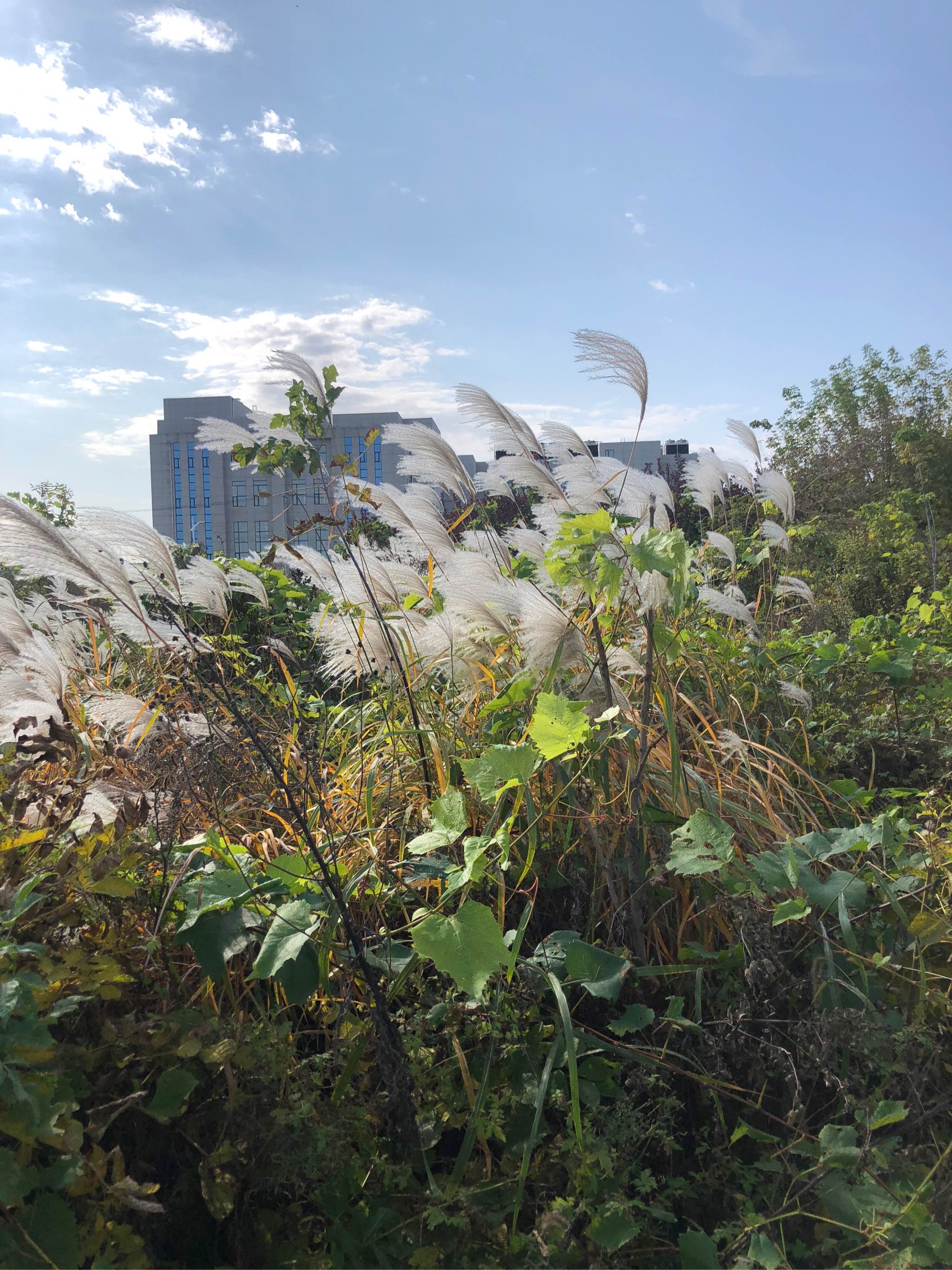 平安健康快乐幸福