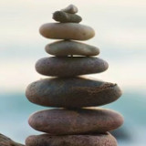 福毛毛宠物用品