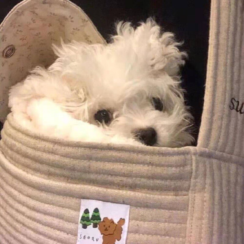 爱吃日式蛋烧的初柚