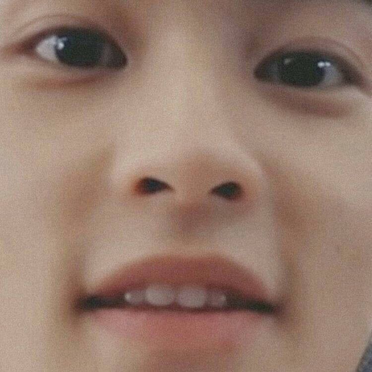 散装记忆携带者