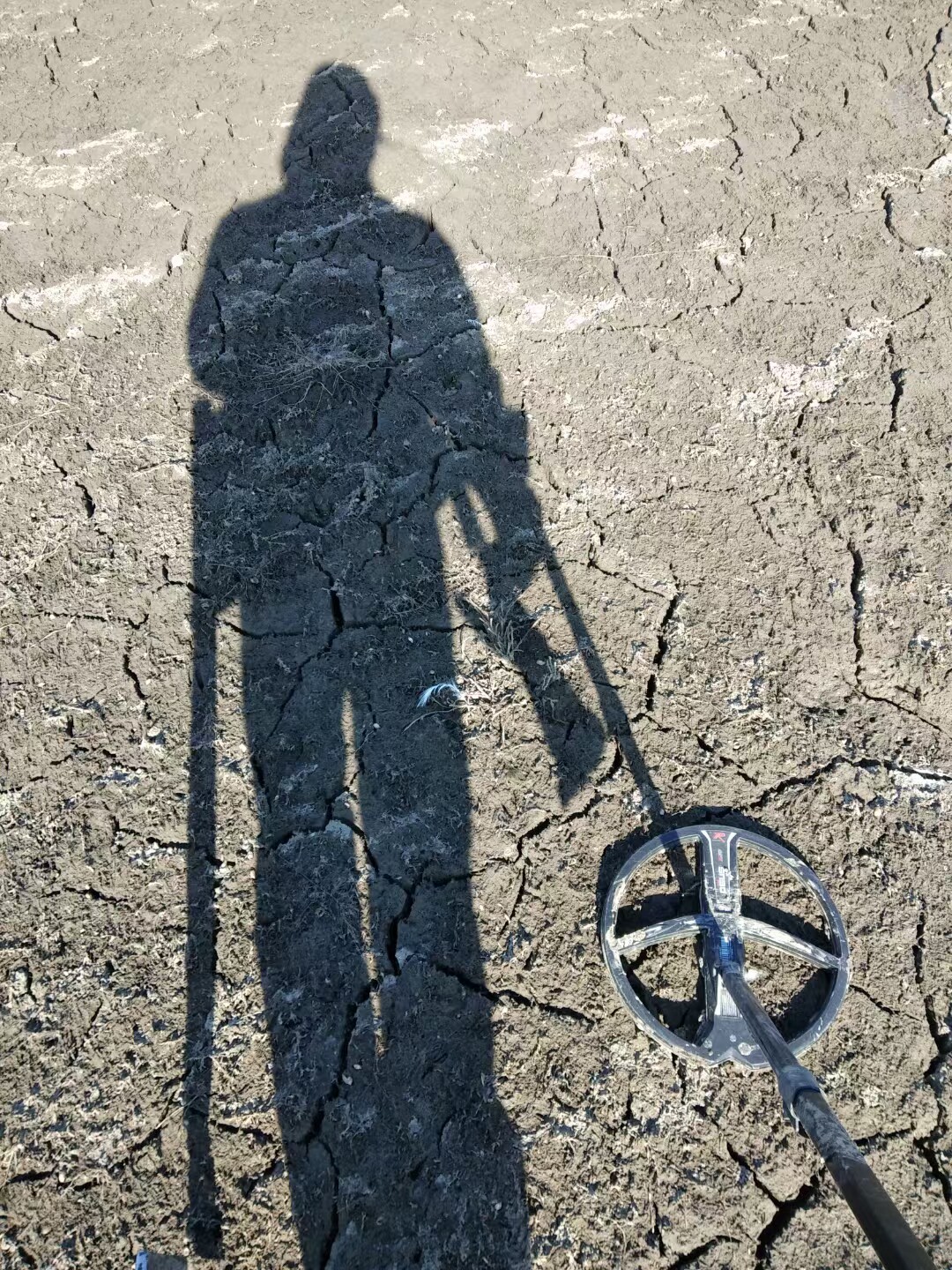 千金难买半两肉