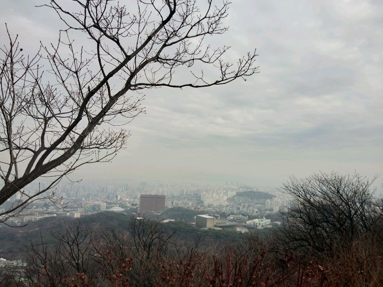 陶渊明独爱菊韦韦