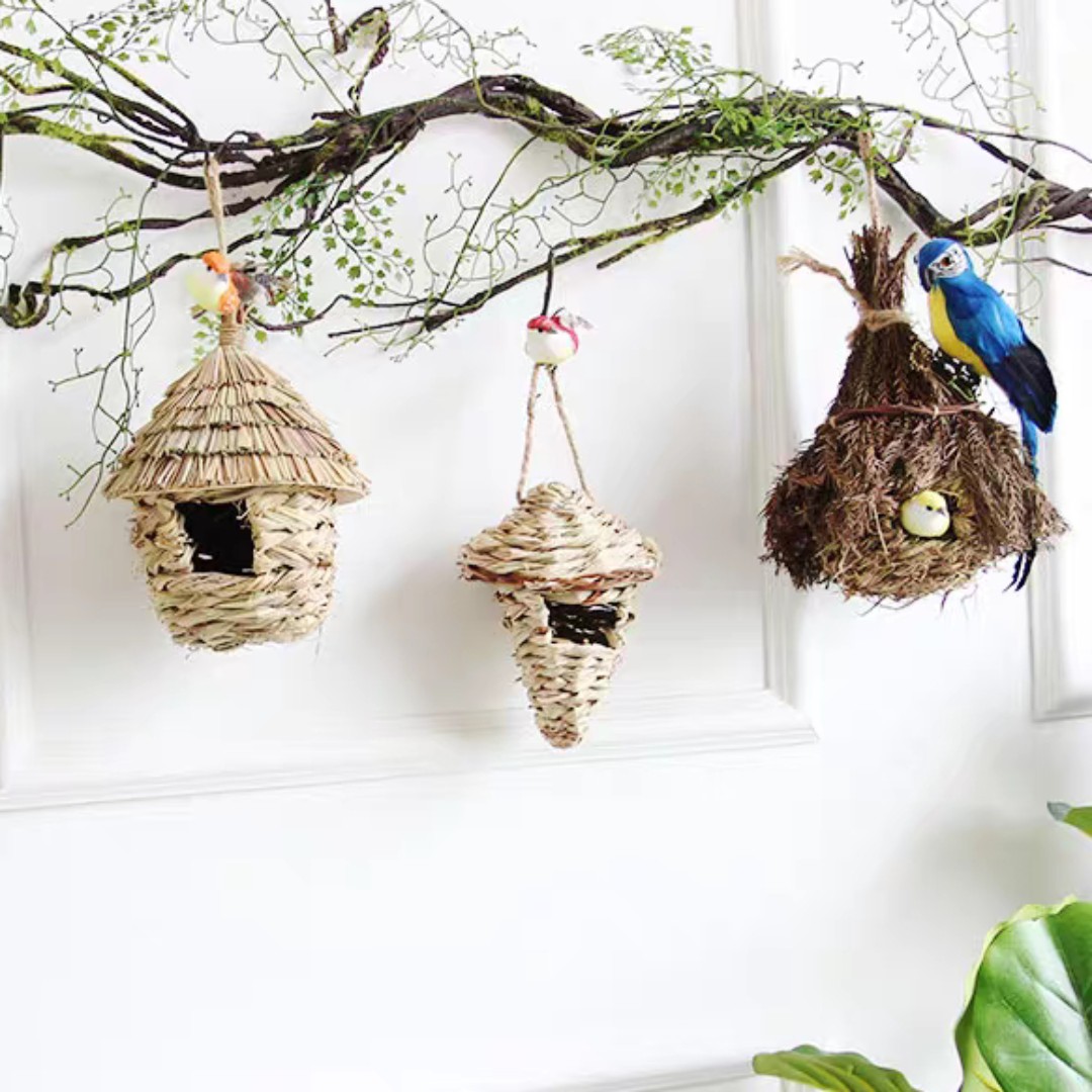 吉祥三宝贝^(00)^