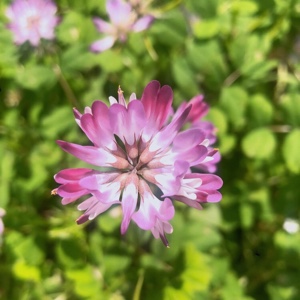 美丽人生一美丽人生