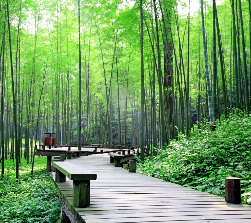 熟悉&hellip;陌生&hellip;