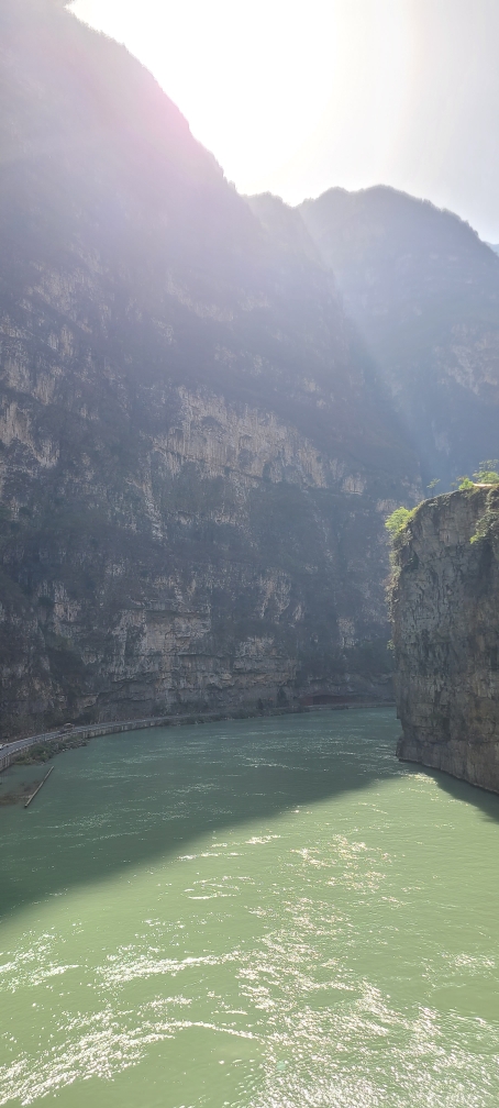 南美洲游泳分子