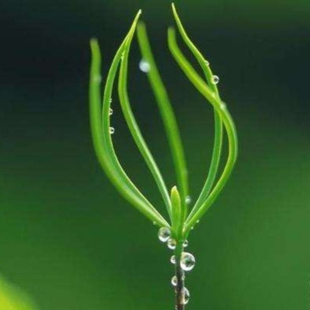 小心此处上尸坐镇小天地