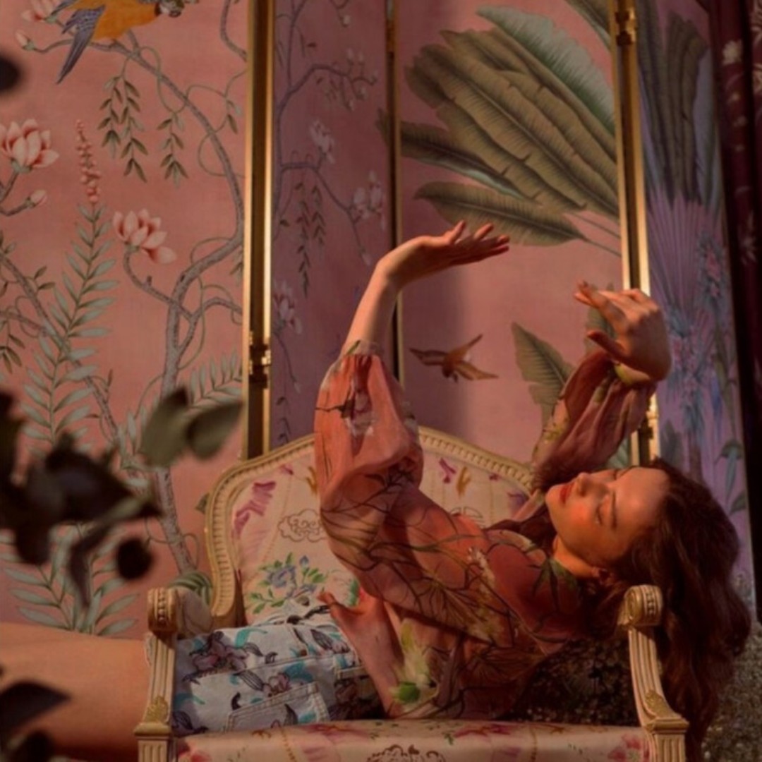 甘梅味的小李子