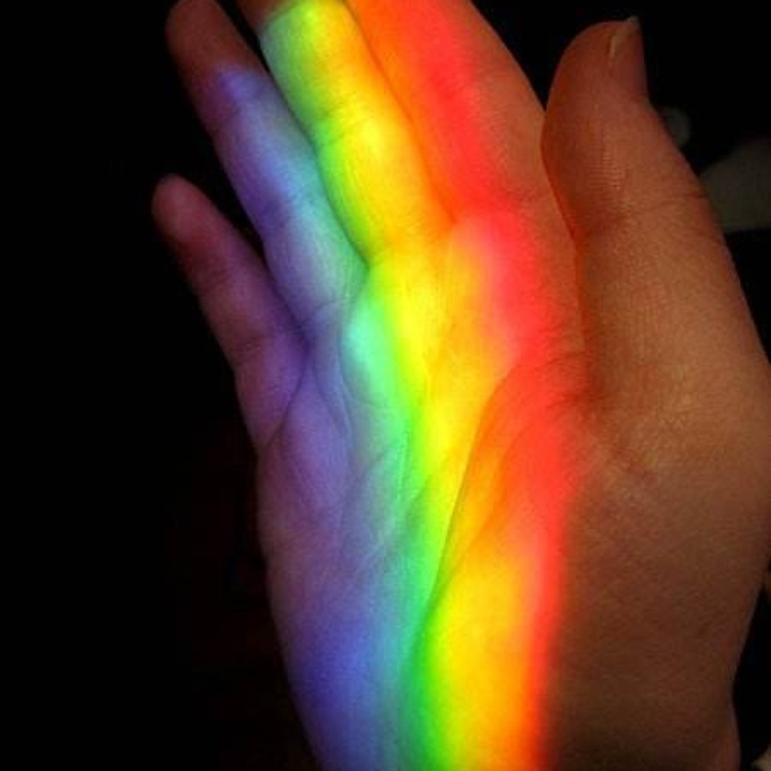 爱吃七喜排骨的向日葵