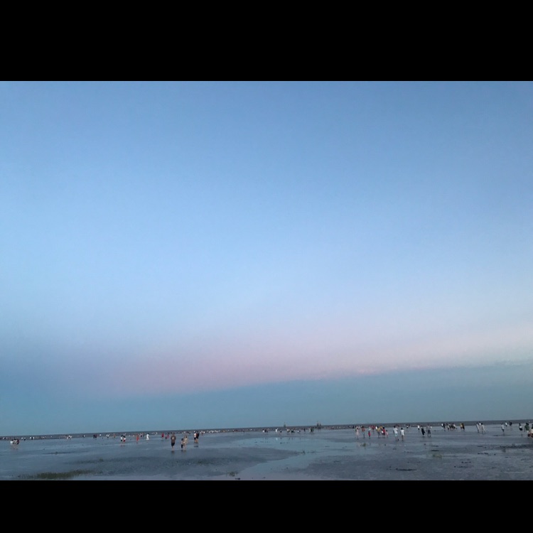 爱吃蓝山咖啡的天使