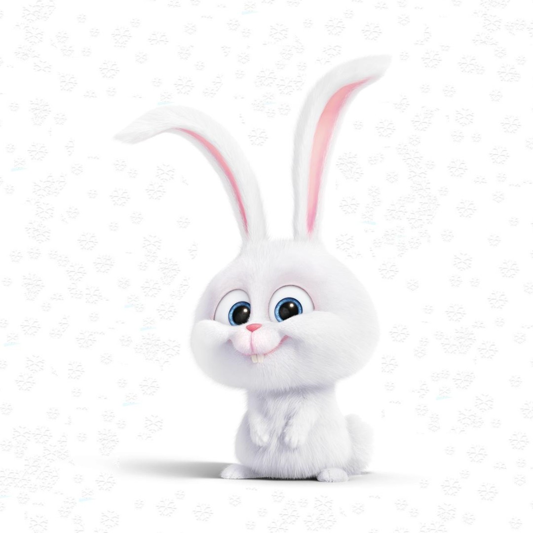 我始终带着你爱的微笑