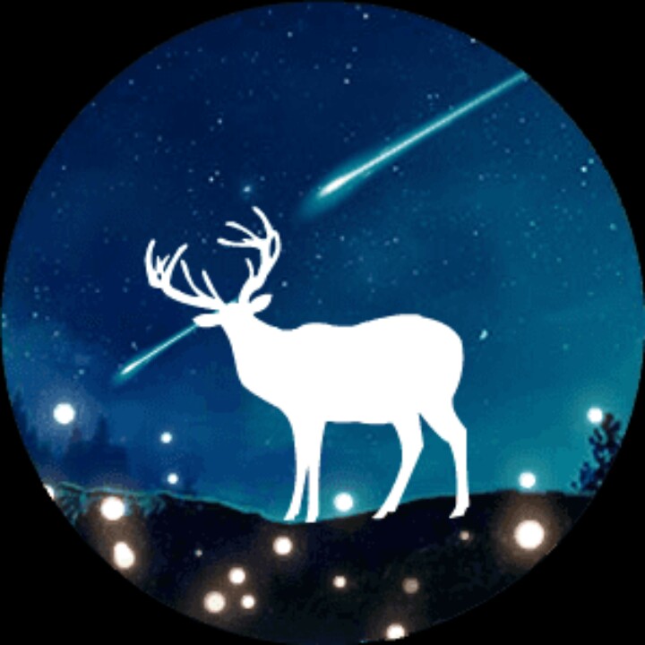 星空鹿影