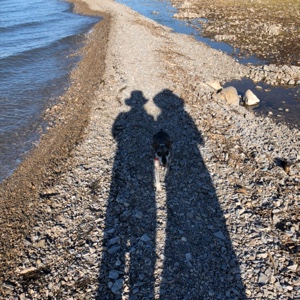 大宝贼的叶先生