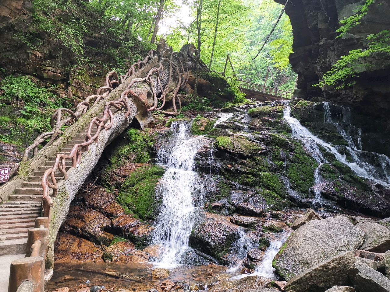 淘是一种追求实用的过程