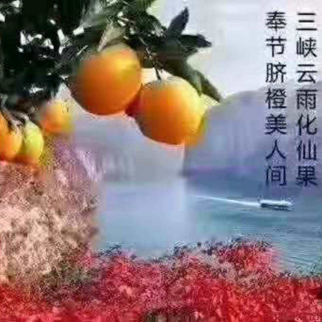 千紫慧陌上花开