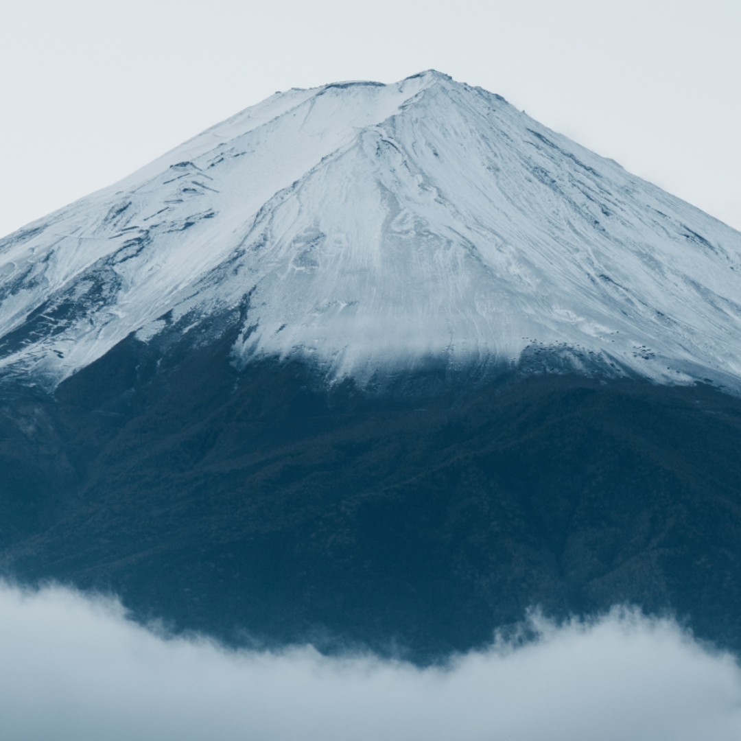 慷慨de温暖拉顿