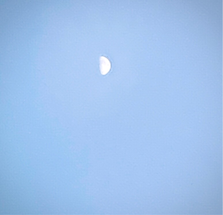 爱吃清蒸大虾的钻石