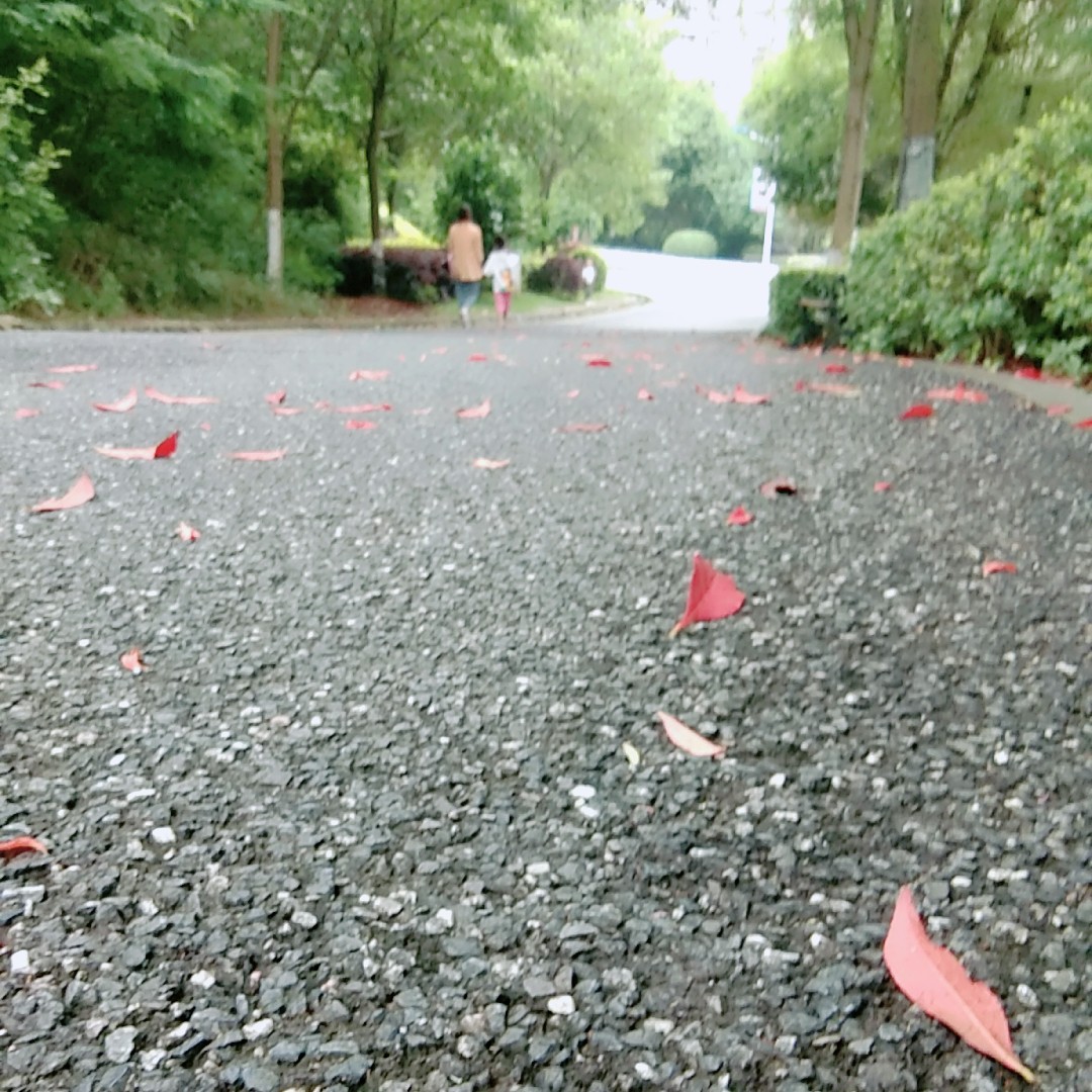 嘟嘟宝贝嘟嘟脸